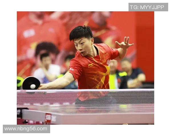 深圳乒乓球队实力分析与表现评估：数据背后的故事与启示