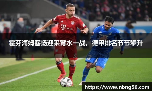 霍芬海姆客场迎来背水一战，德甲排名节节攀升